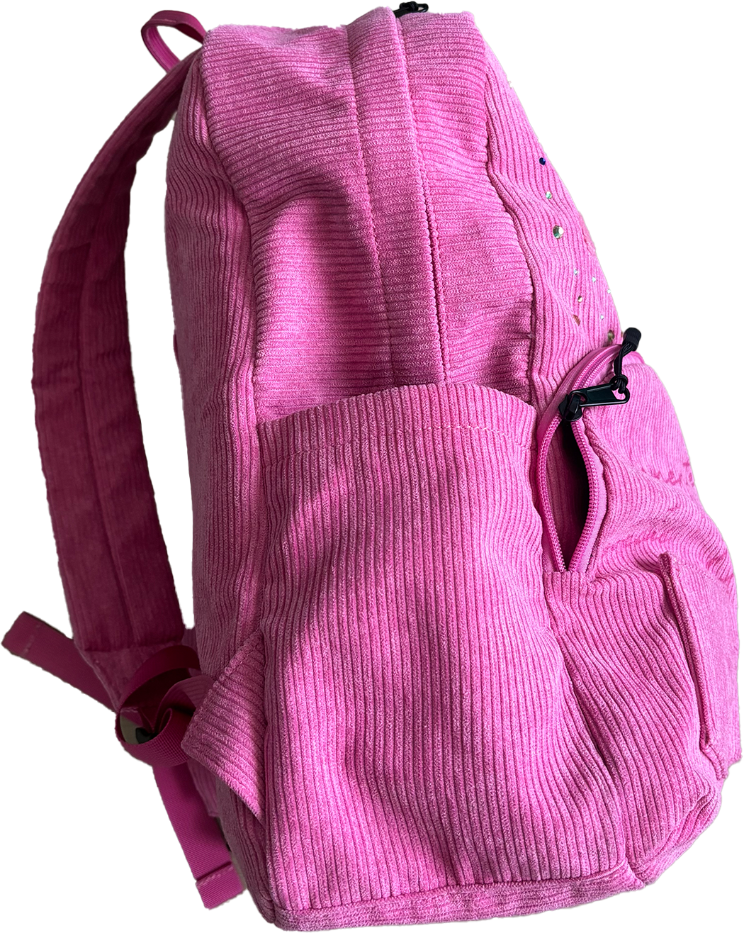 DEMENT BOOKBAG